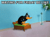 waiting.gif