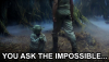 IMP.png